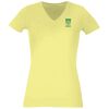 Women's Premium v-neck t-shirt Thumbnail