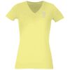Women's Premium v-neck t-shirt Thumbnail
